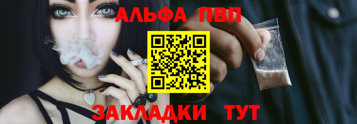 A PVP СК КРИС Старая Русса