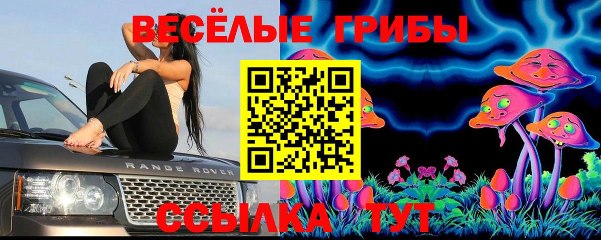 Псилоцибиновые грибы прущие грибы Старая Русса